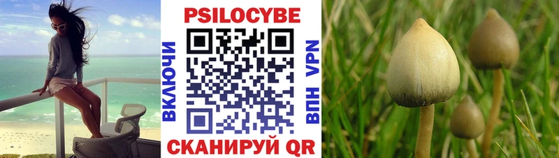 Галлюциногенные грибы Cubensis  купить наркотик  Крымск 